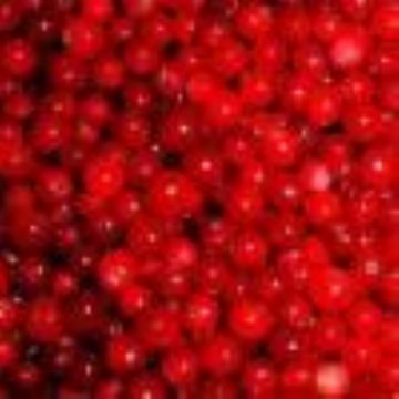 Iqf Fruit (Sales6 At Lgberry Dot Com Dot Cn)